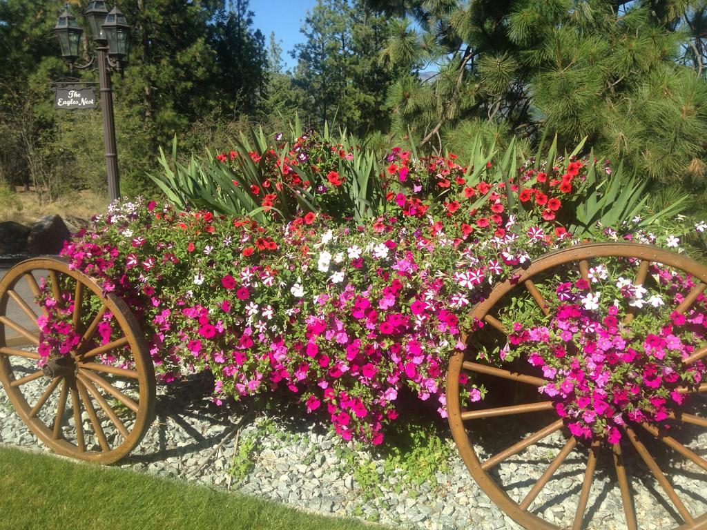 Eagle'S Nest B&B Lake Country Bagian luar foto