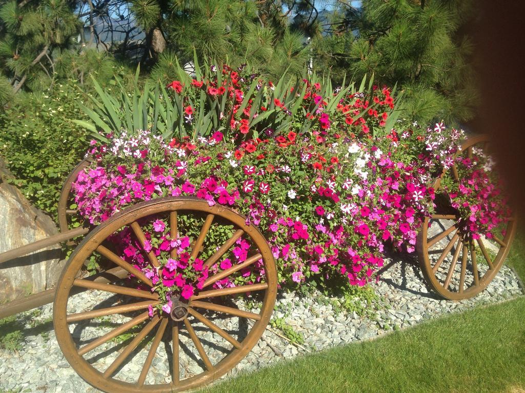 Eagle'S Nest B&B Lake Country Bagian luar foto