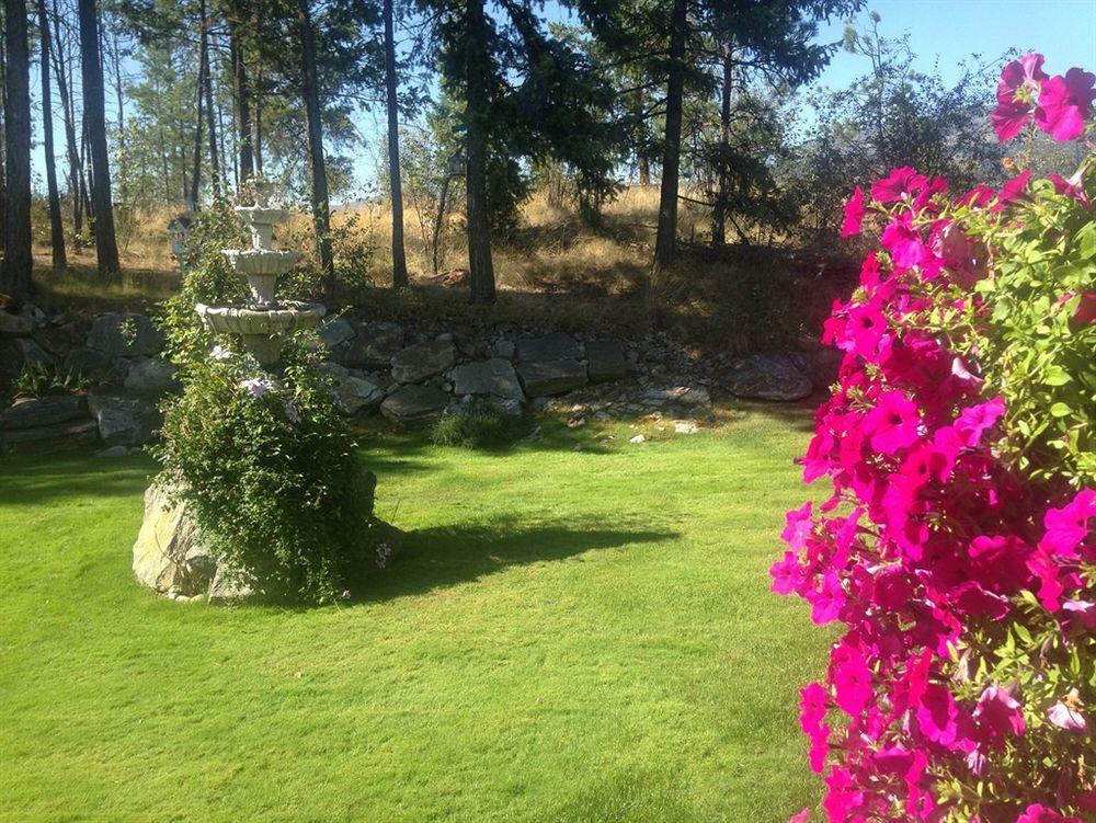 Eagle'S Nest B&B Lake Country Bagian luar foto
